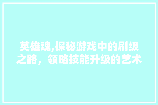 英雄魂,探秘游戏中的刷级之路，领略技能升级的艺术