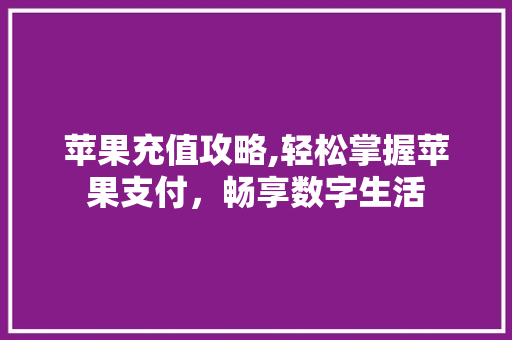 苹果充值攻略,轻松掌握苹果支付，畅享数字生活