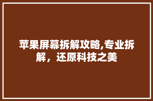苹果屏幕拆解攻略,专业拆解，还原科技之美