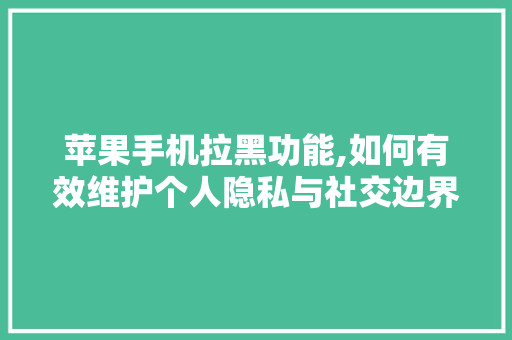 苹果手机拉黑功能,如何有效维护个人隐私与社交边界 服务器/数据库