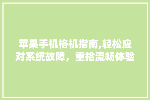 苹果手机格机指南,轻松应对系统故障，重拾流畅体验 WordPress教程