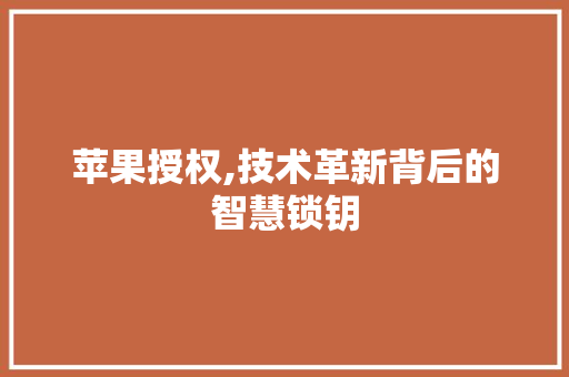 苹果授权,技术革新背后的智慧锁钥