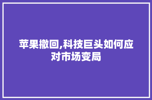 苹果撤回,科技巨头如何应对市场变局