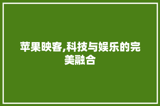 苹果映客,科技与娱乐的完美融合