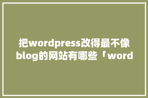 把wordpress改得最不像blog的网站有哪些「wordpress二次开发教程文档」