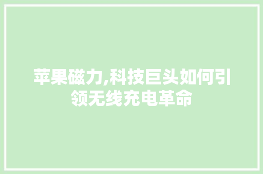 苹果磁力,科技巨头如何引领无线充电革命