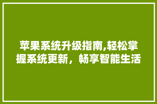 苹果系统升级指南,轻松掌握系统更新，畅享智能生活