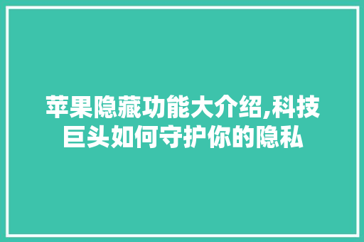 苹果隐藏功能大介绍,科技巨头如何守护你的隐私