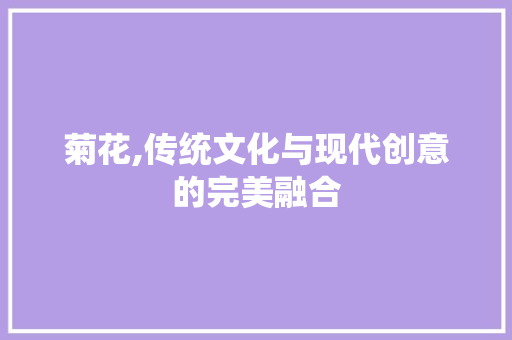 菊花,传统文化与现代创意的完美融合