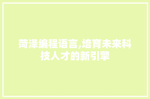 菏泽编程语言,培育未来科技人才的新引擎