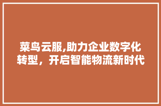 菜鸟云服,助力企业数字化转型，开启智能物流新时代