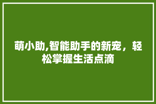 萌小助,智能助手的新宠，轻松掌握生活点滴