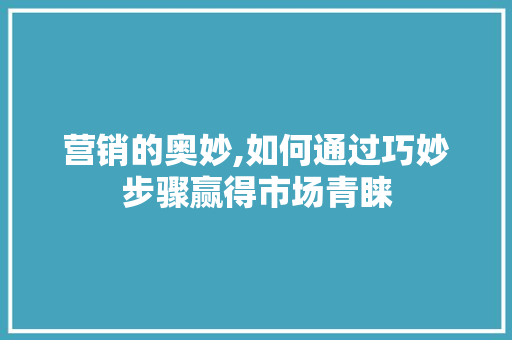 营销的奥妙,如何通过巧妙步骤赢得市场青睐
