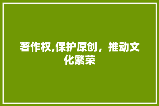 著作权,保护原创，推动文化繁荣