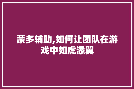 蒙多辅助,如何让团队在游戏中如虎添翼