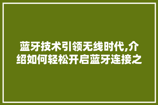 蓝牙技术引领无线时代,介绍如何轻松开启蓝牙连接之旅