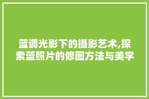蓝调光影下的摄影艺术,探索蓝照片的修图方法与美学价值