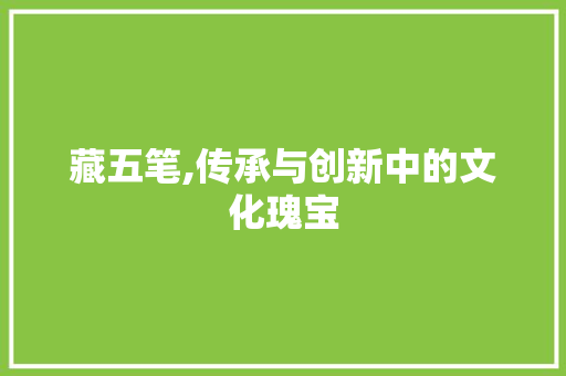 藏五笔,传承与创新中的文化瑰宝