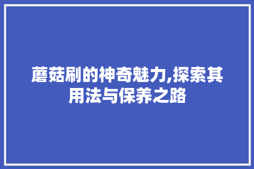 蘑菇刷的神奇魅力,探索其用法与保养之路