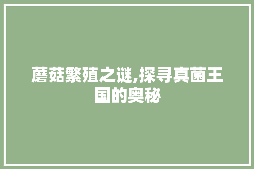 蘑菇繁殖之谜,探寻真菌王国的奥秘