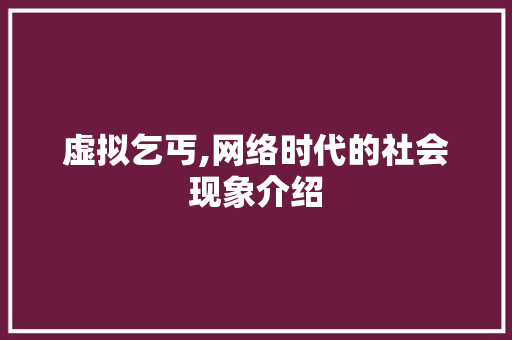 虚拟乞丐,网络时代的社会现象介绍