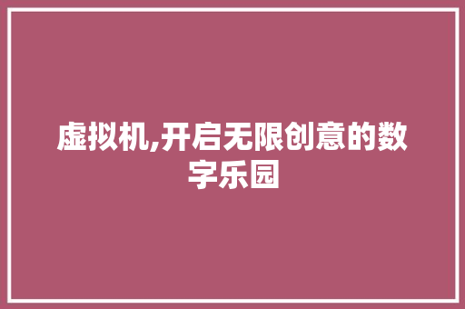 虚拟机,开启无限创意的数字乐园