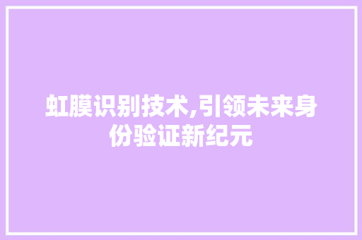 虹膜识别技术,引领未来身份验证新纪元