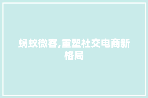 蚂蚁微客,重塑社交电商新格局