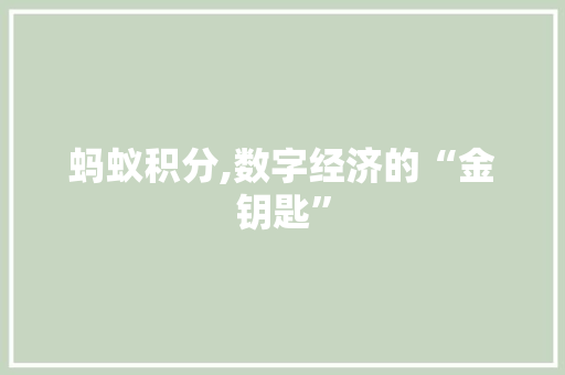蚂蚁积分,数字经济的“金钥匙”