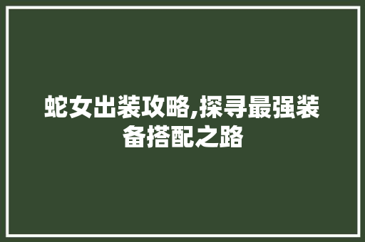 蛇女出装攻略,探寻最强装备搭配之路