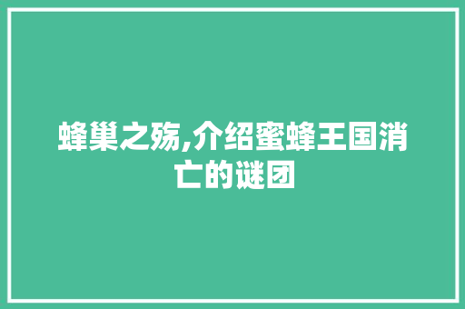 蜂巢之殇,介绍蜜蜂王国消亡的谜团