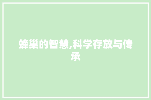 蜂巢的智慧,科学存放与传承