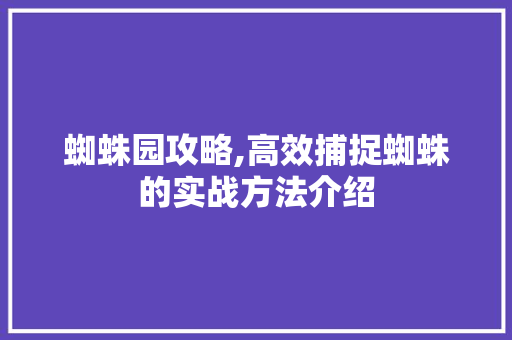 蜘蛛园攻略,高效捕捉蜘蛛的实战方法介绍