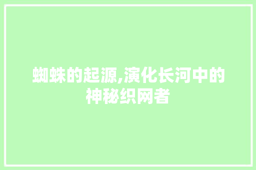 蜘蛛的起源,演化长河中的神秘织网者