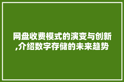 网盘收费模式的演变与创新,介绍数字存储的未来趋势