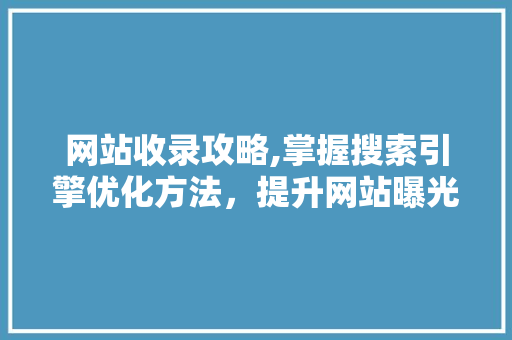 网站收录攻略,掌握搜索引擎优化方法，提升网站曝光度