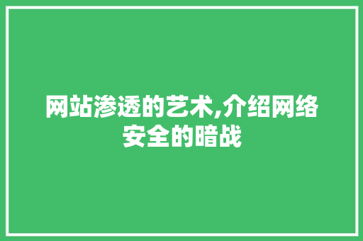 网站渗透的艺术,介绍网络安全的暗战