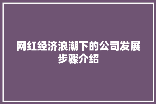 网红经济浪潮下的公司发展步骤介绍
