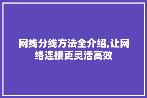 网线分线方法全介绍,让网络连接更灵活高效