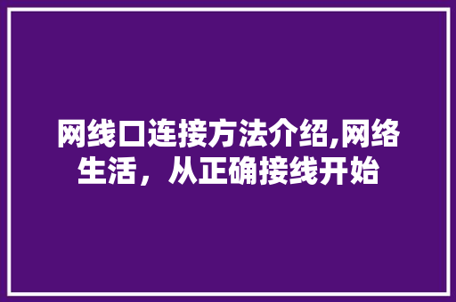 网线口连接方法介绍,网络生活，从正确接线开始