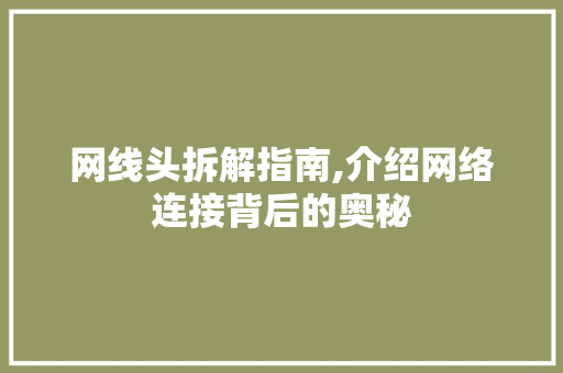 网线头拆解指南,介绍网络连接背后的奥秘