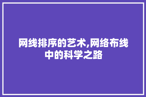 网线排序的艺术,网络布线中的科学之路