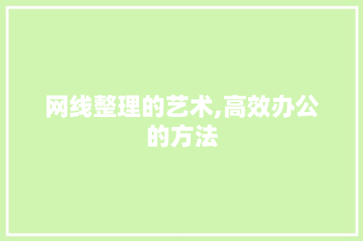 网线整理的艺术,高效办公的方法