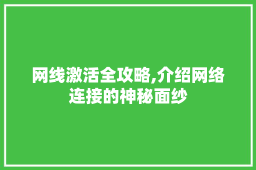 网线激活全攻略,介绍网络连接的神秘面纱