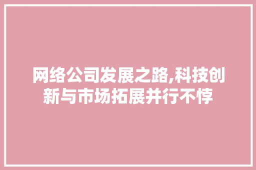 网络公司发展之路,科技创新与市场拓展并行不悖