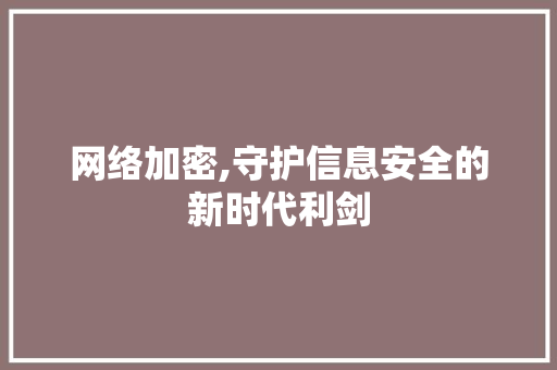 网络加密,守护信息安全的新时代利剑
