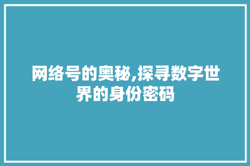 网络号的奥秘,探寻数字世界的身份密码