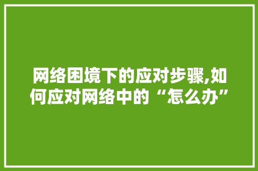 网络困境下的应对步骤,如何应对网络中的“怎么办”