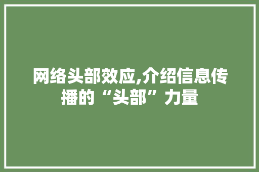 网络头部效应,介绍信息传播的“头部”力量