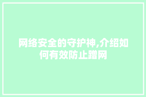 网络安全的守护神,介绍如何有效防止蹭网